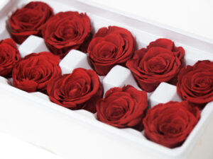 Rose Box