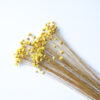 Star Flower FL069 Yellow