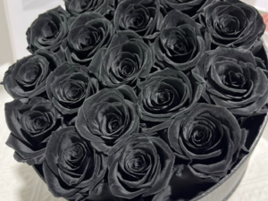 Black rose heads